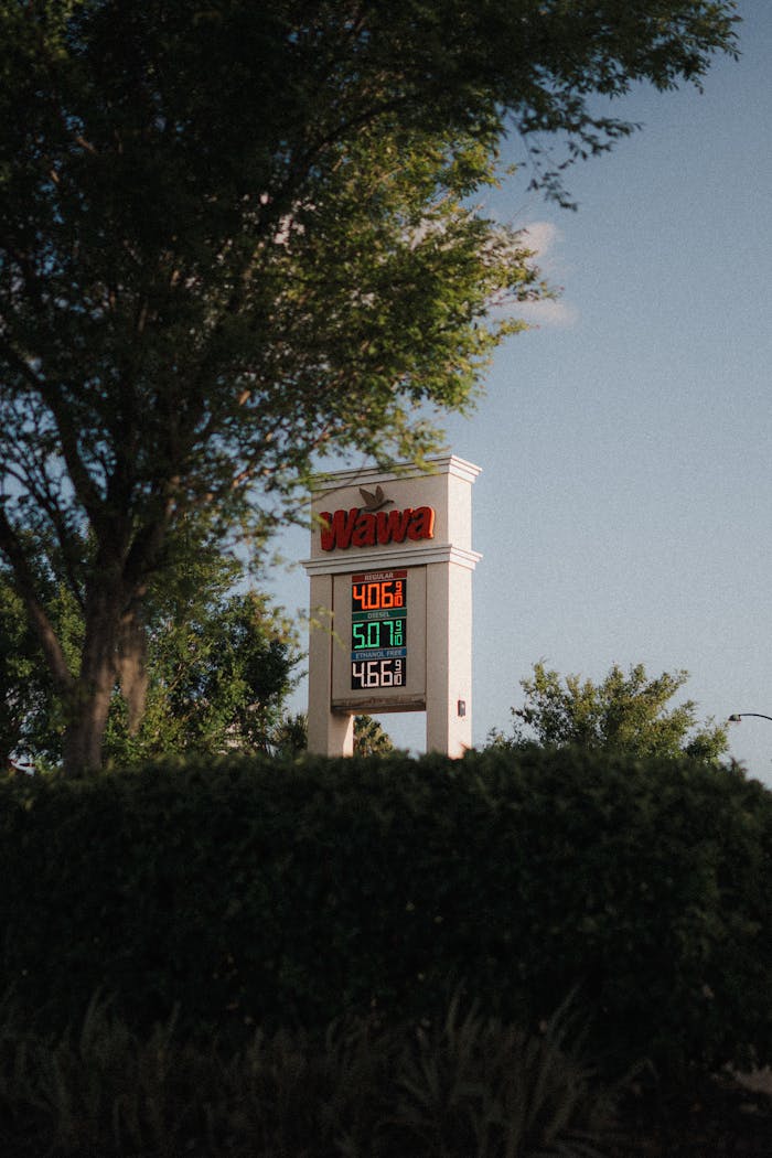 Gas station sign at Wawa displaying fuel prices against a tree-filled backdrop on a clear day.